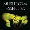 BOB Headquarters Giftware Mushroom Essences: Vibrational Healing From The Kingdom Fungi By Robert Rogers