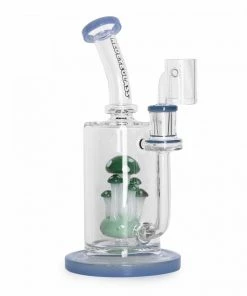 West Coast Gifts New Arrivals Red Eye Glass 9