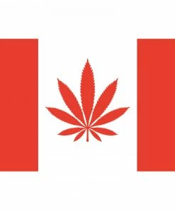 West Coast Gifts My Dab Mats Trays