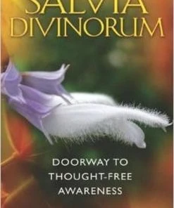 BOB Headquarters Salvia Divinorum - By J.D. Arthur Books