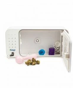 West Coast Gifts Wifi Enabled Smart Safe