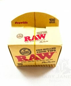 HBI RAW Tips - Pre Rolled Cone Tips Perfecto 100