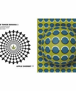 BOB Headquarters Stoners' Optical Illusions: Trip With More Than 100 Mind-Bending Optical Illusions