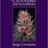 BOB Headquarters Cannabis Encyclopedia, The - Jorge Cervantes