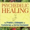BOB Headquarters Psychedelic Healing: The Promise Of Entheogens For Psychotherapy And Spiritual Development - By Neal M. Goldsmith